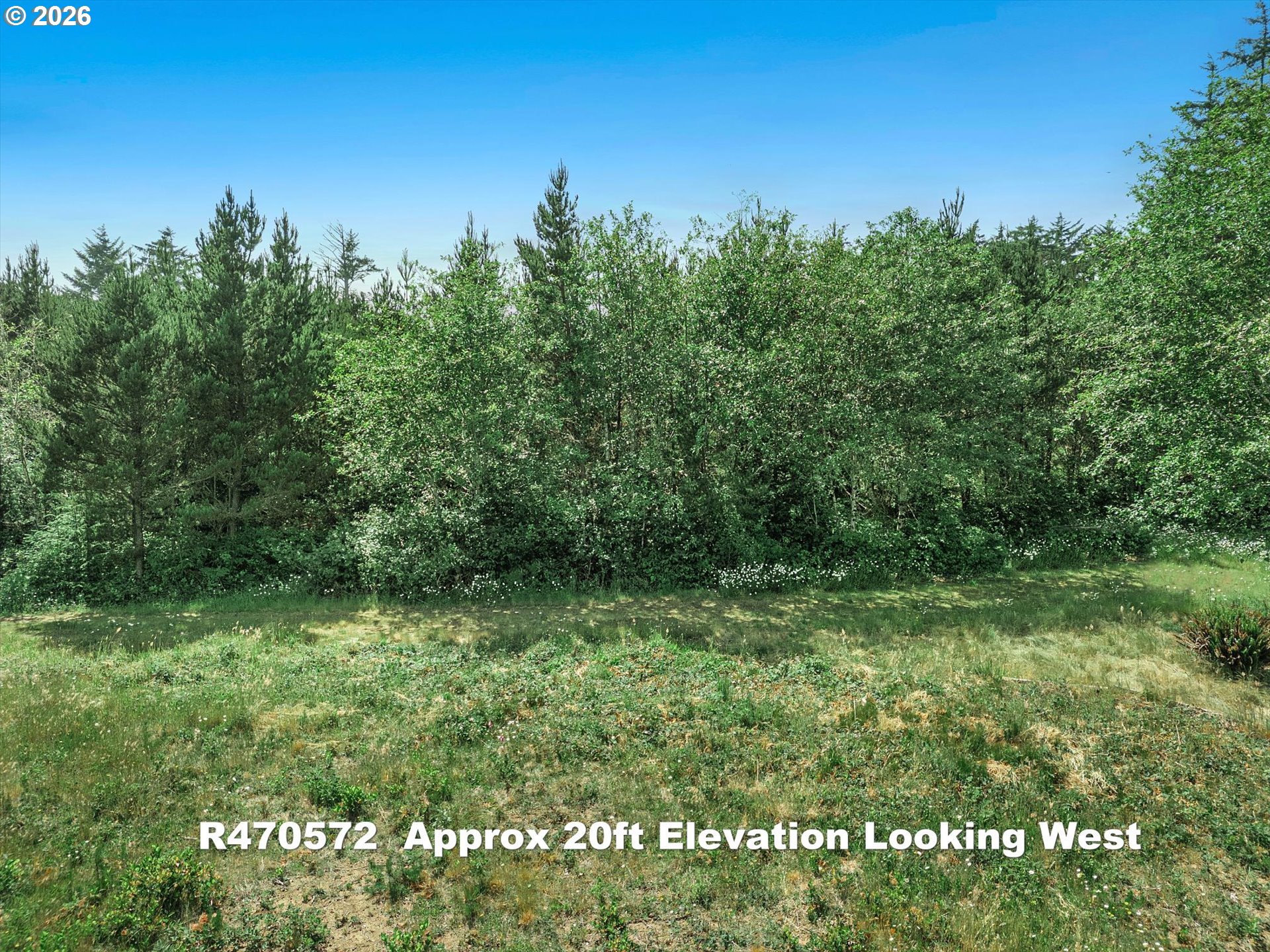 Riggen Property Photo 11