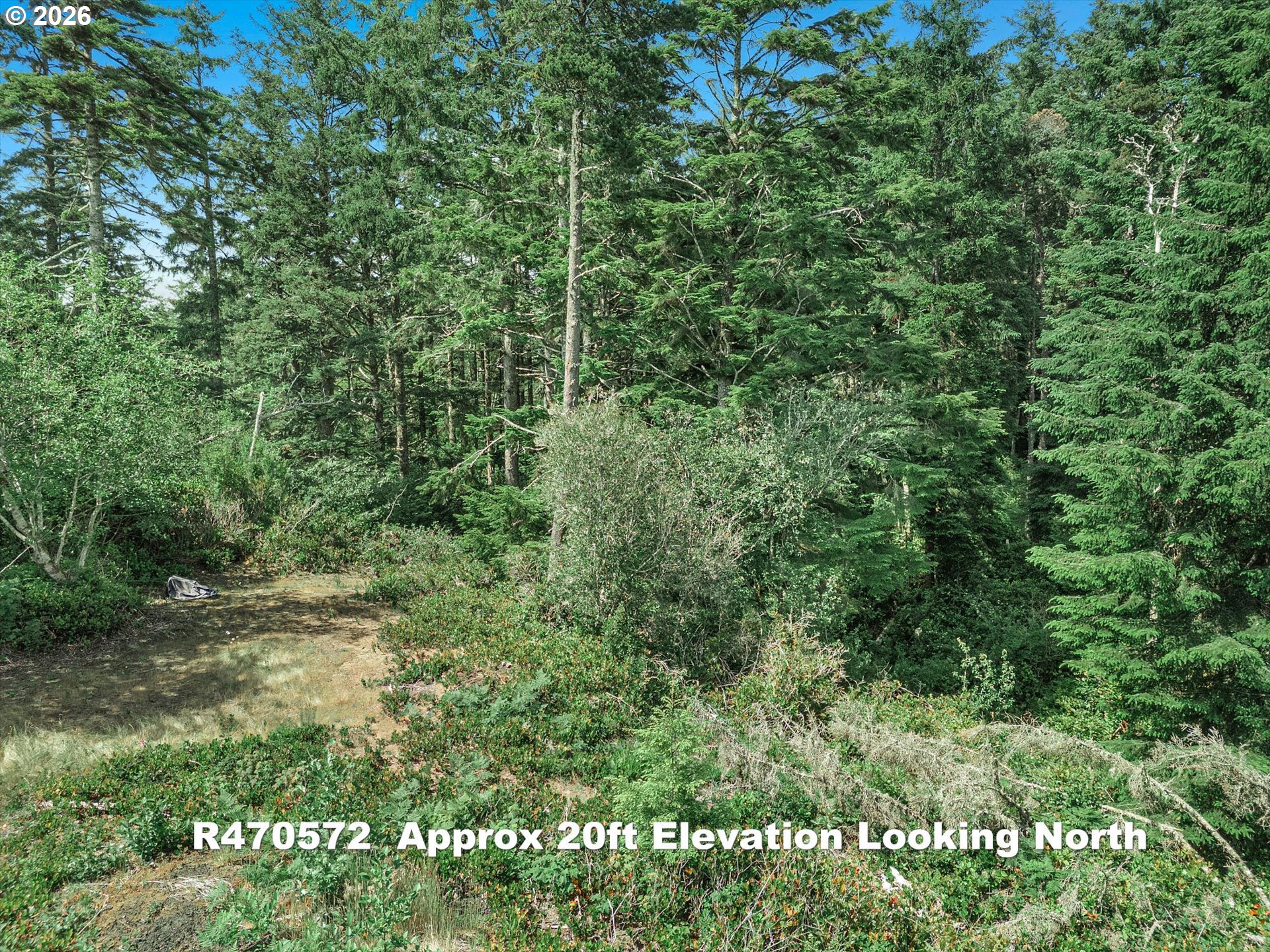 Riggen Property Photo 12