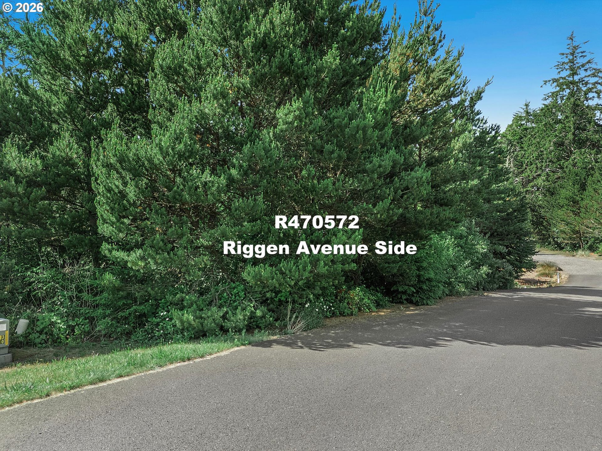 Riggen Property Photo 13