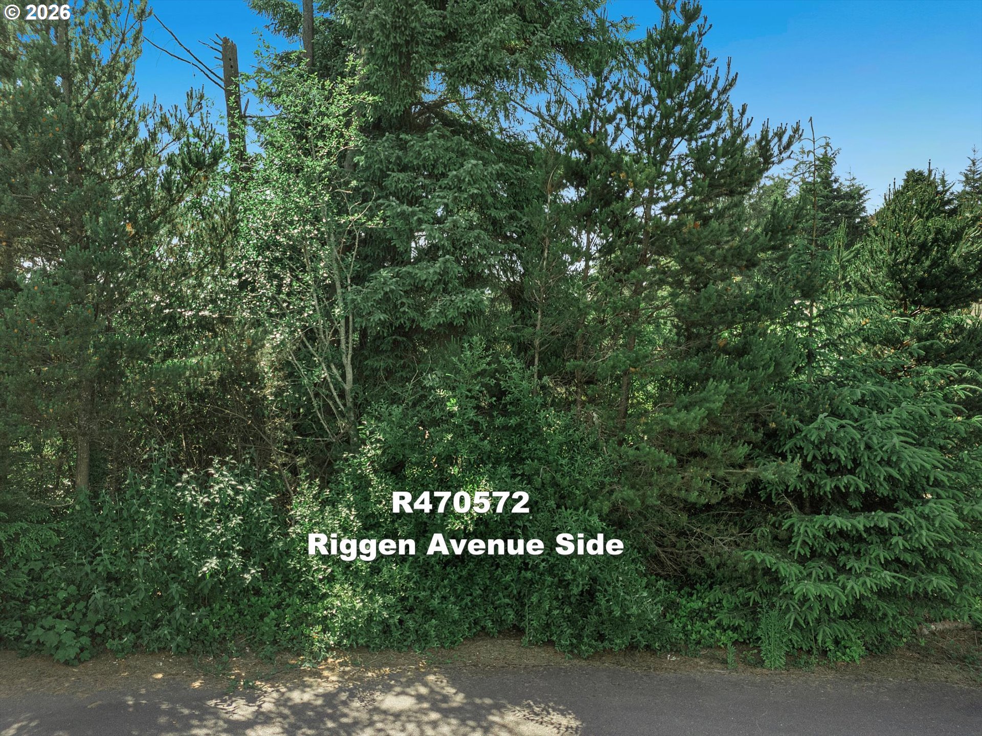 Riggen Property Photo 14