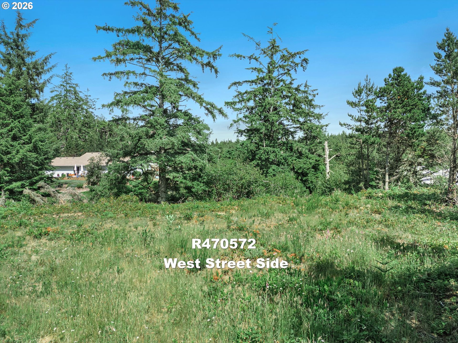 Riggen Property Photo 15