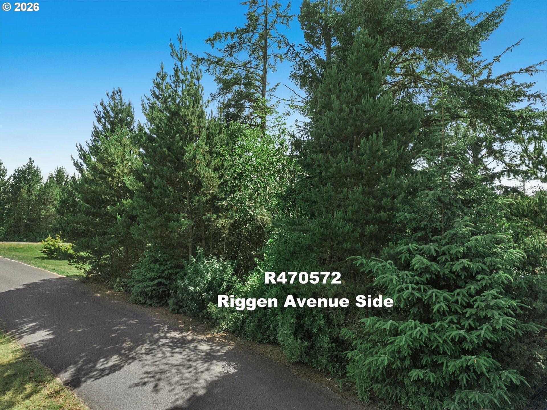 Riggen Property Photo 16