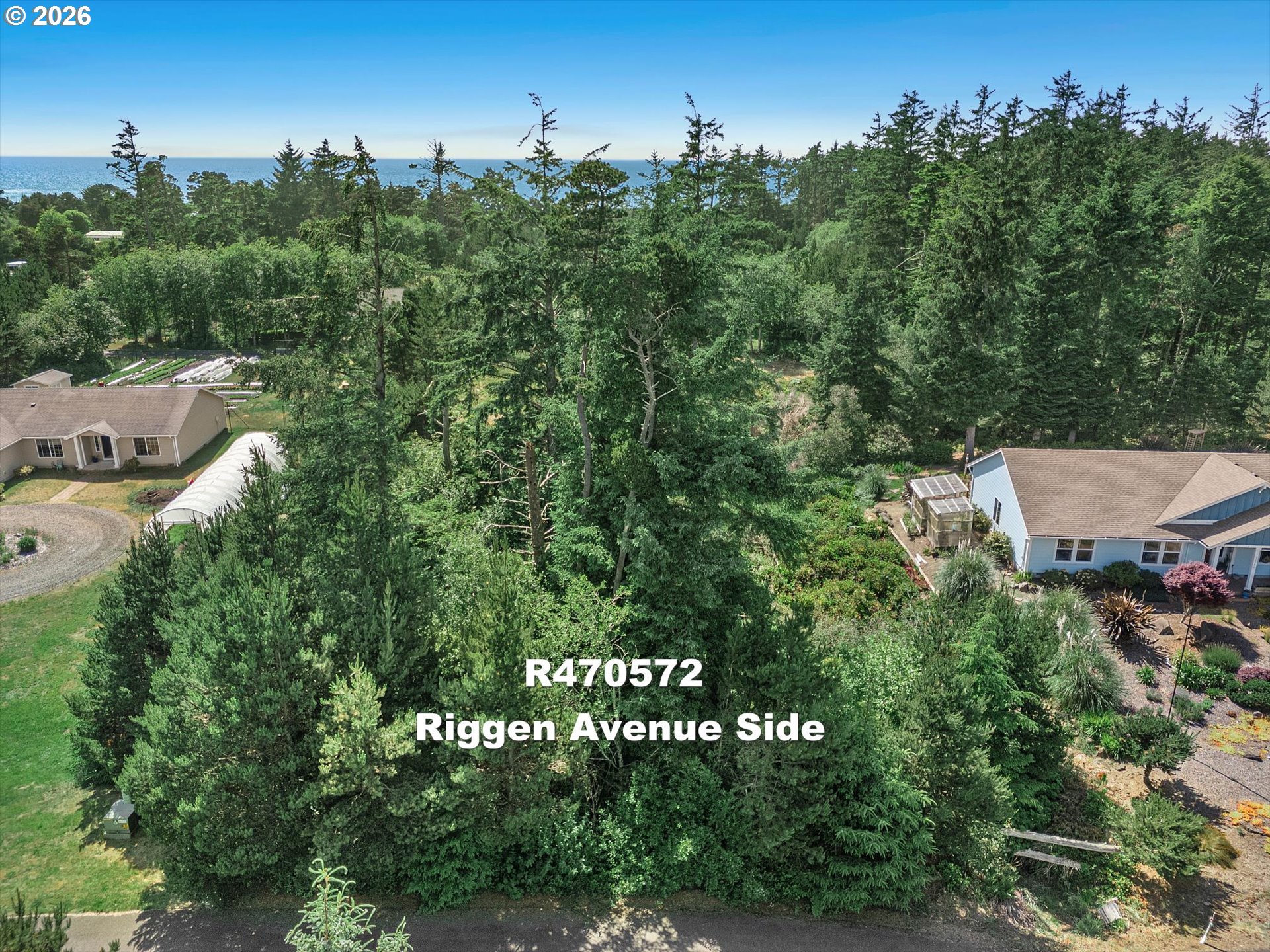 Riggen Property Photo 17