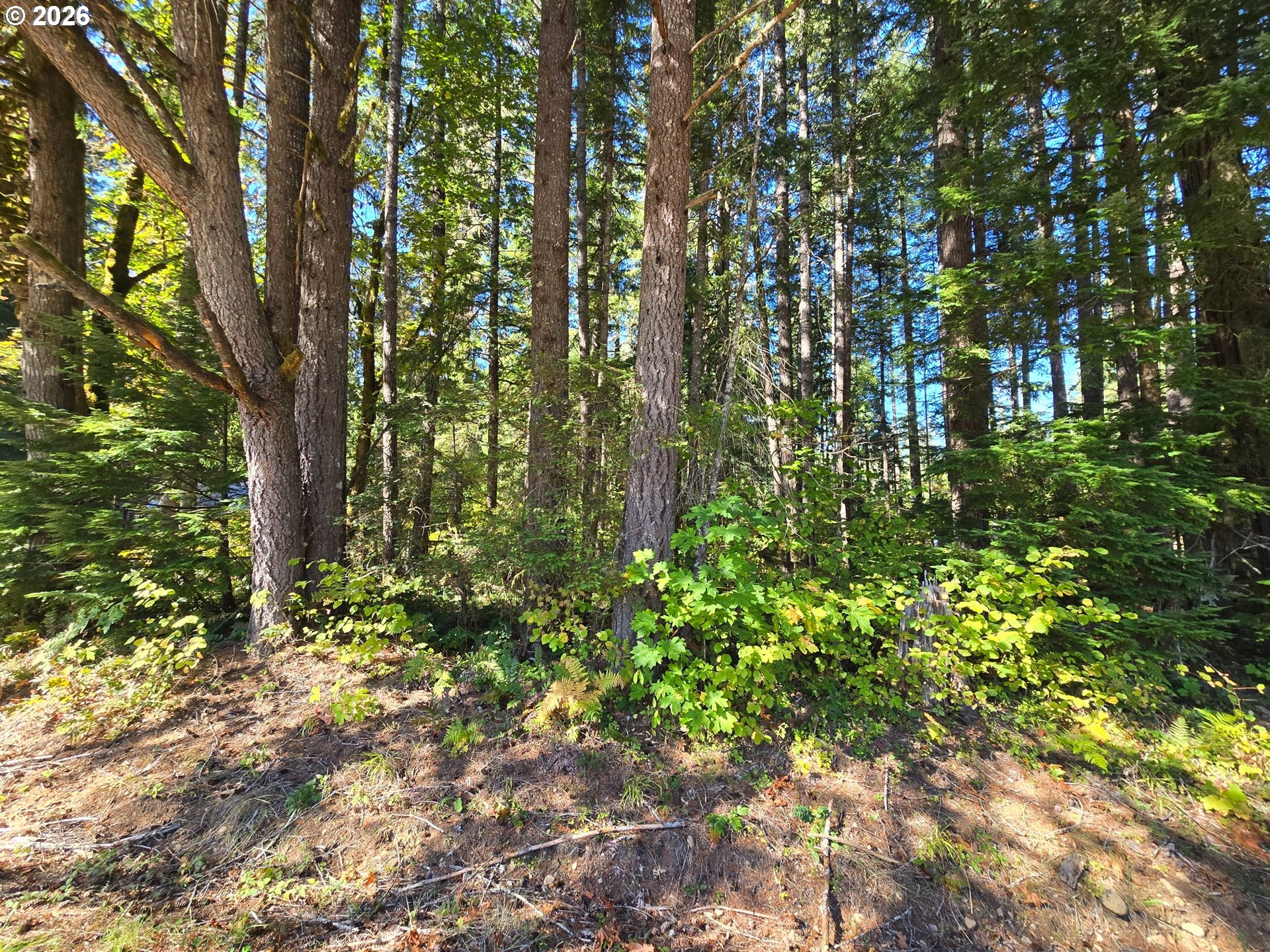 1655144007400 Property Photo 1