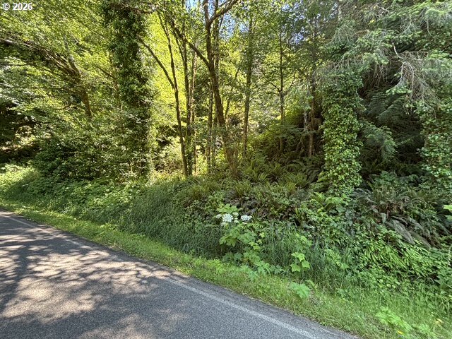 Sweet Creek Road Property Photo 2