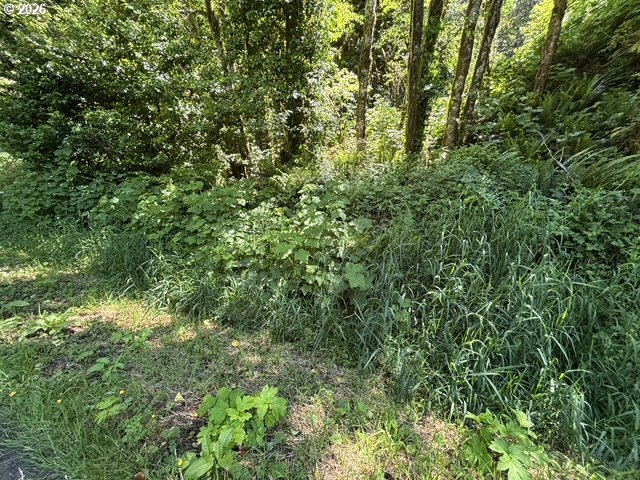 Sweet Creek Road Property Photo 3
