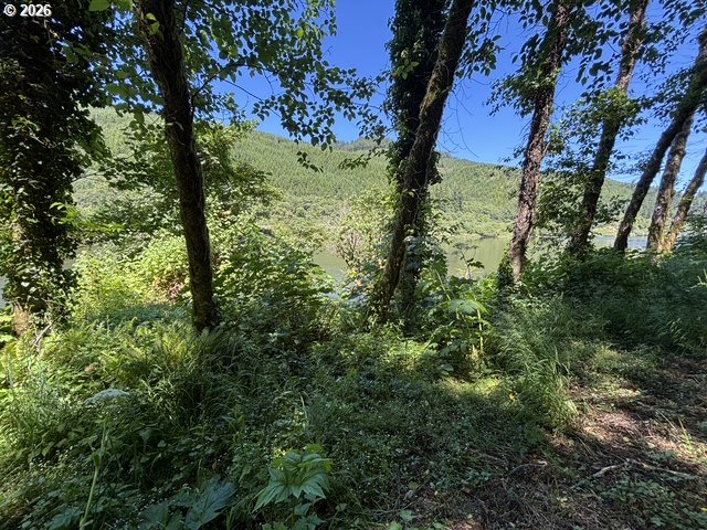 Sweet Creek Road Property Photo 8