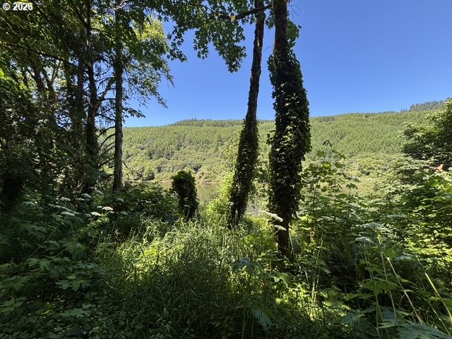 Sweet Creek Road Property Photo 10