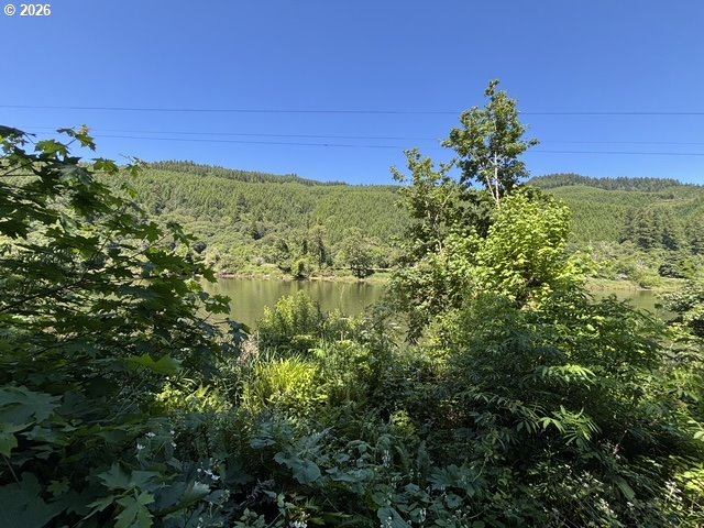 Sweet Creek Road Property Photo 11