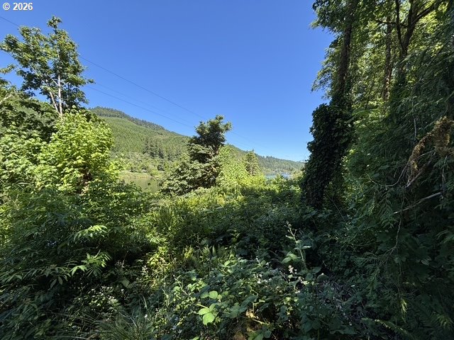 Sweet Creek Road Property Photo 12