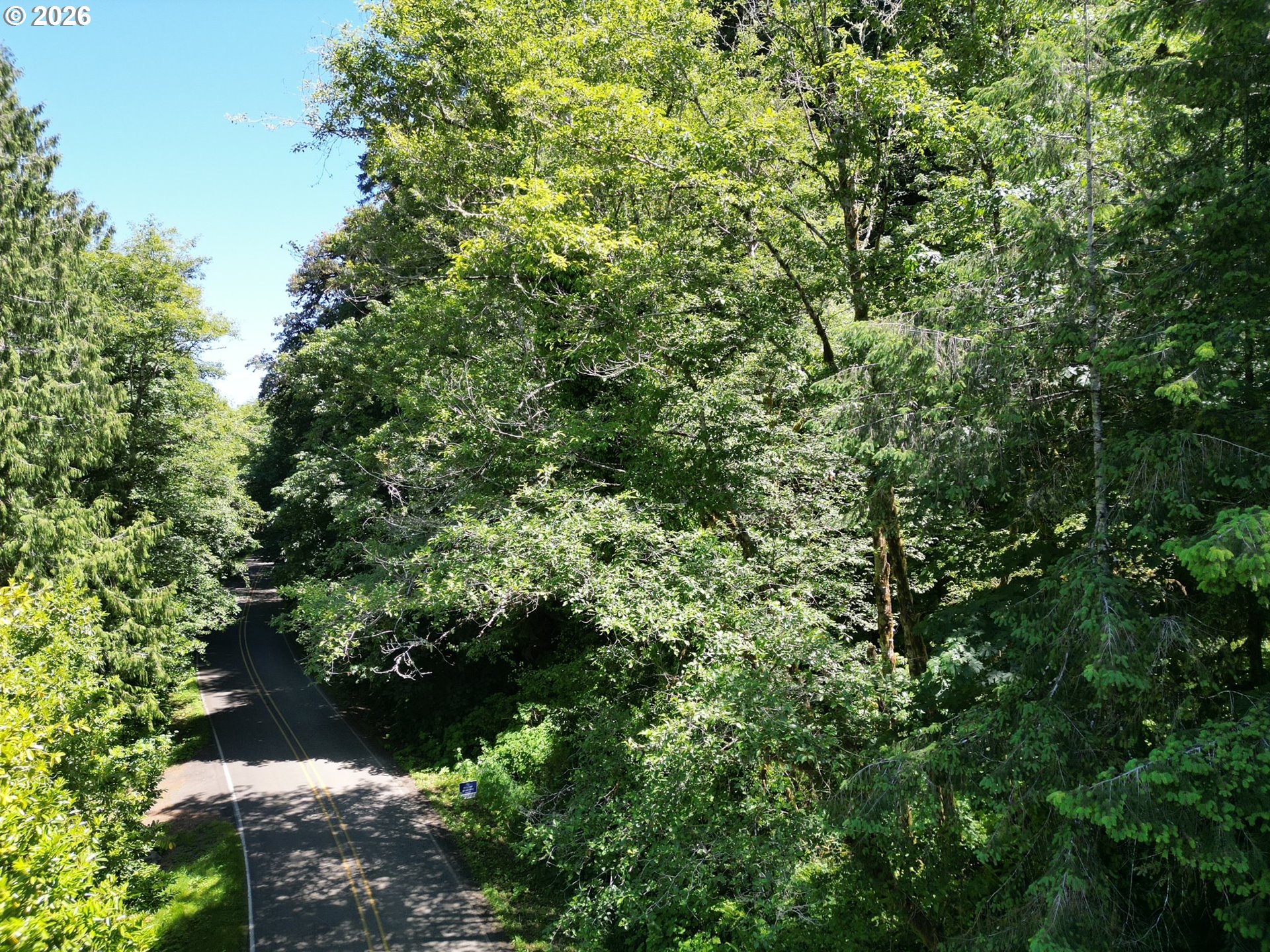 Sweet Creek Road Property Photo 16