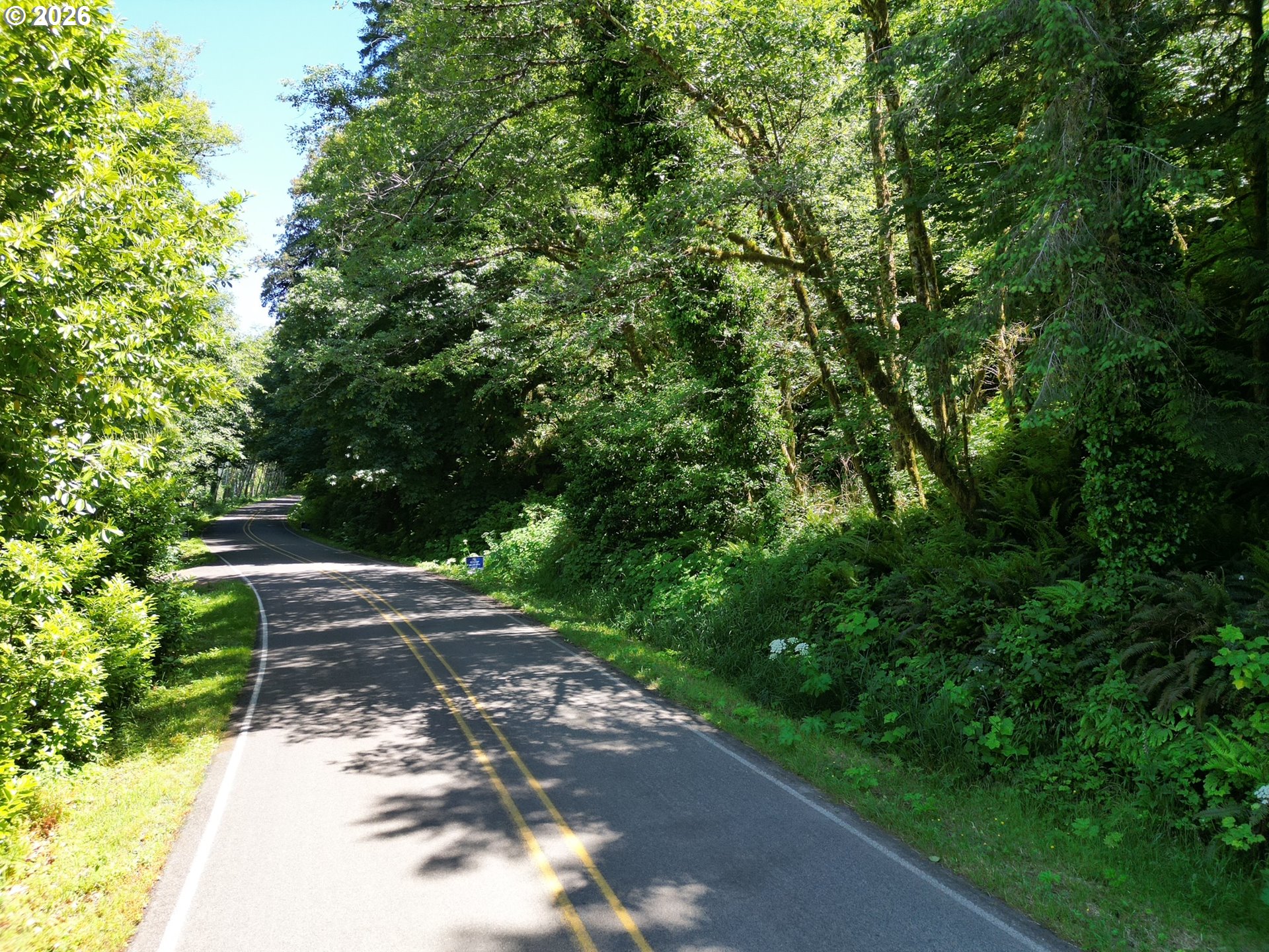Sweet Creek Road Property Photo 17