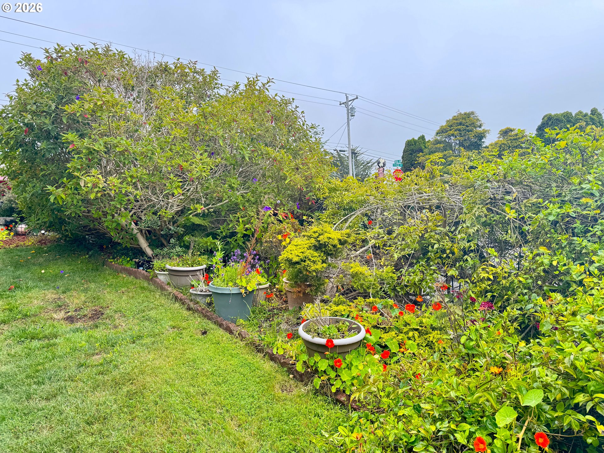 1029 Fifield St Property Photo 43