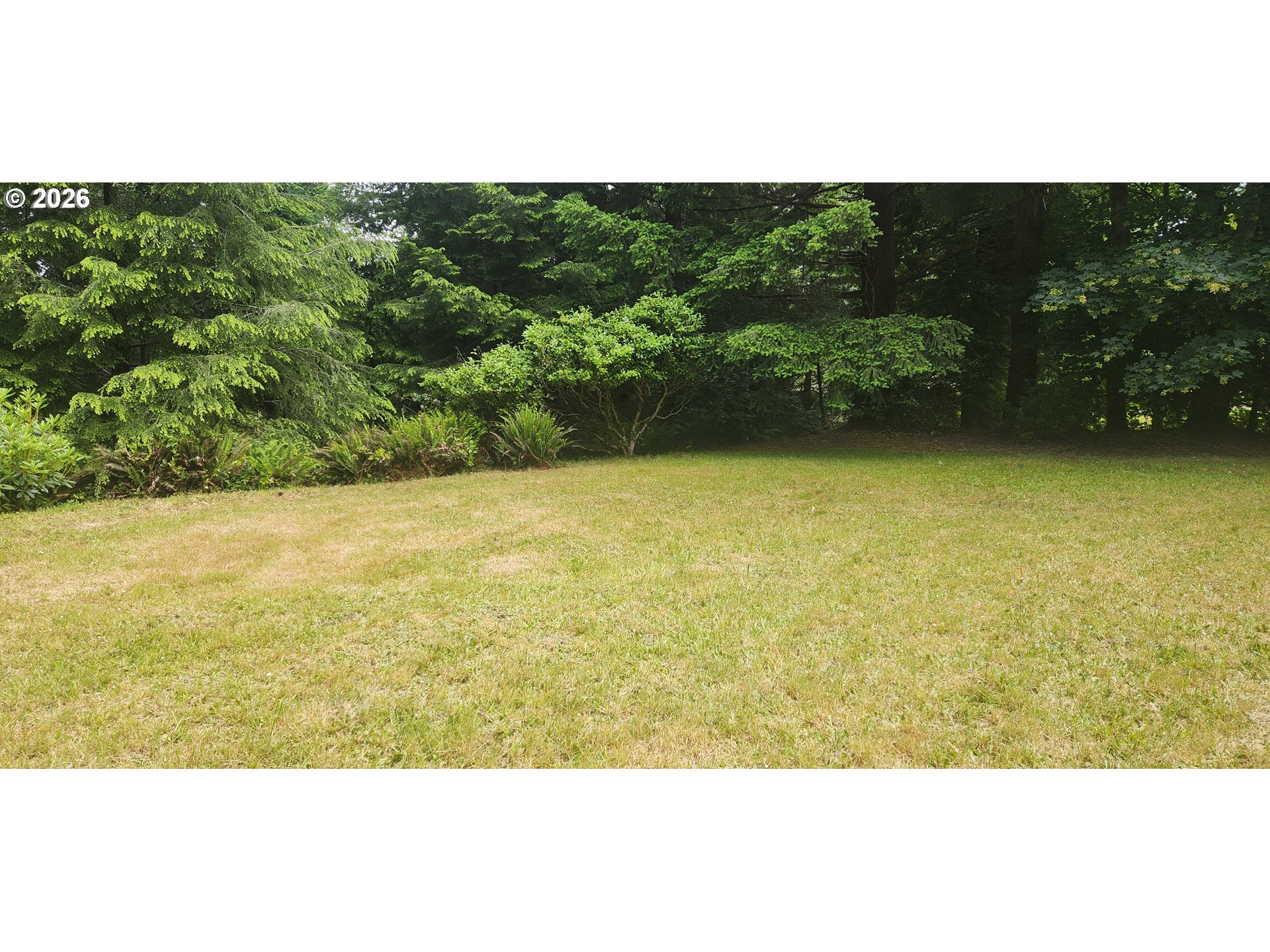 131 E Rainbow Rd Property Photo 3