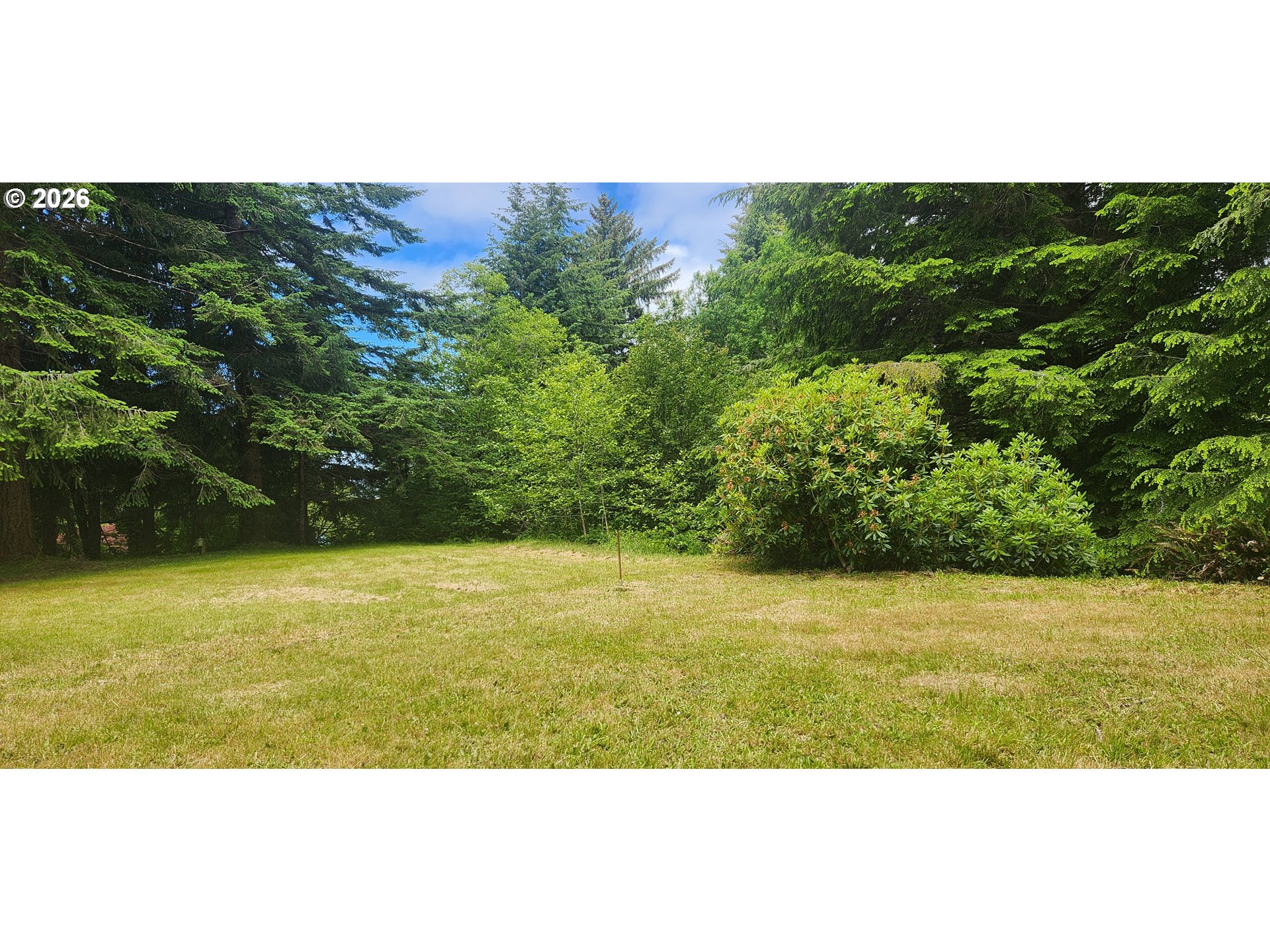 131 E Rainbow Rd Property Photo 4