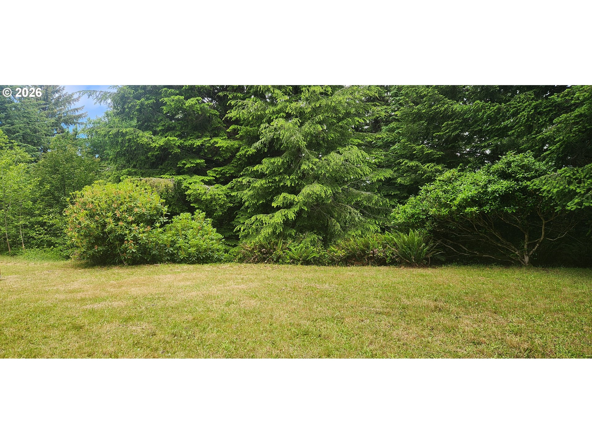 131 E Rainbow Rd Property Photo 22
