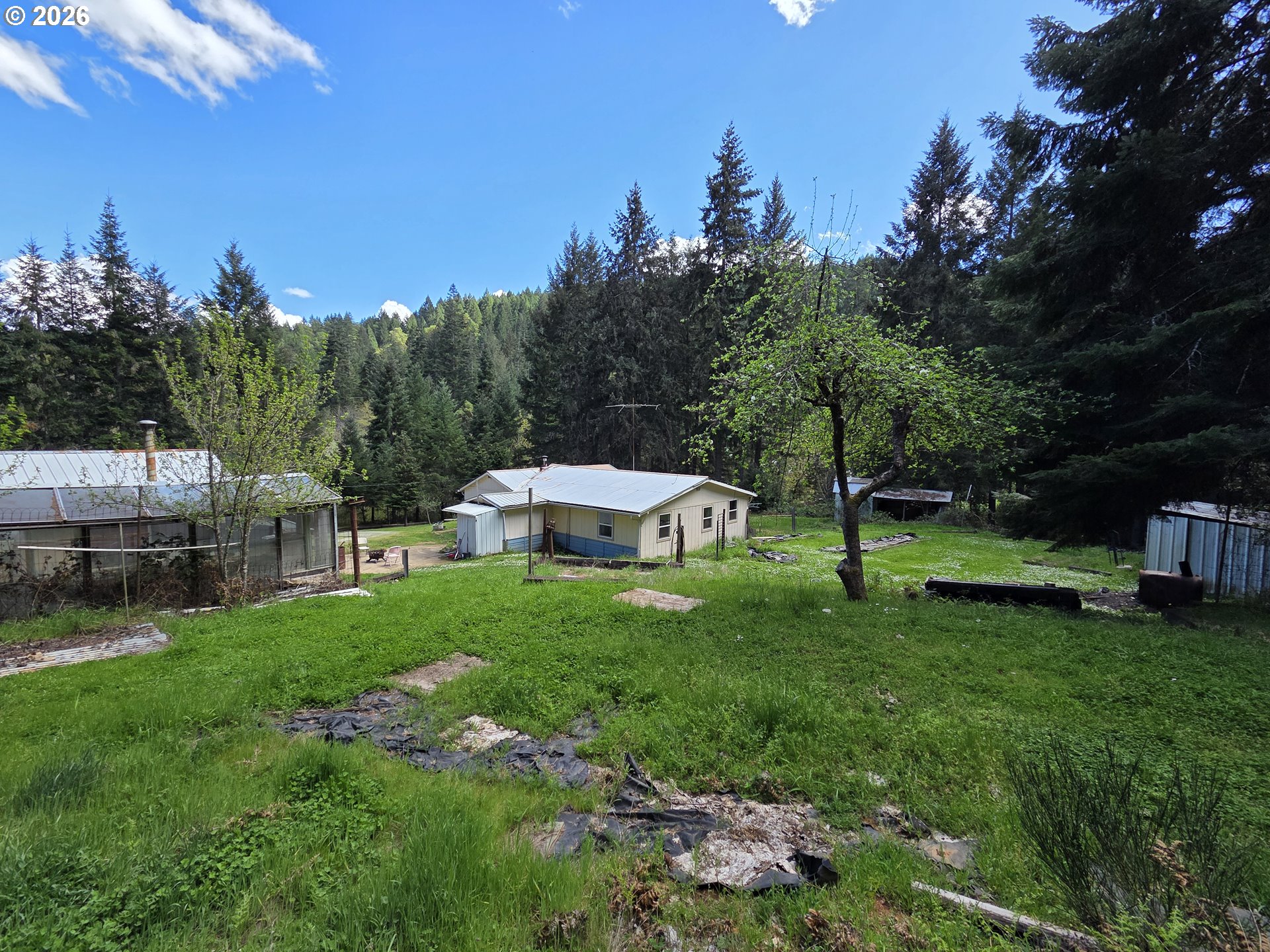 195 Section Creek Rd Property Photo 28