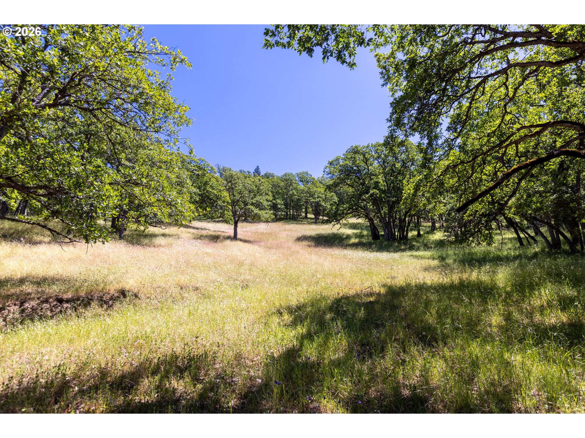 992 Highway 142 Property Photo 24