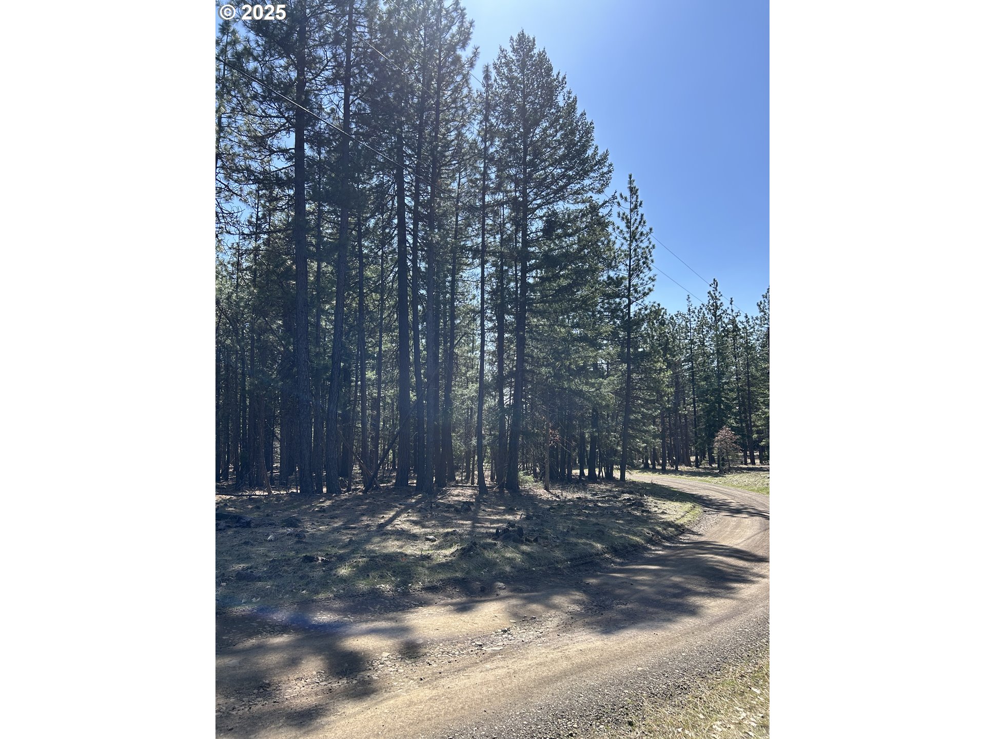 Lot 4 Thompson Trail Property Photo 1