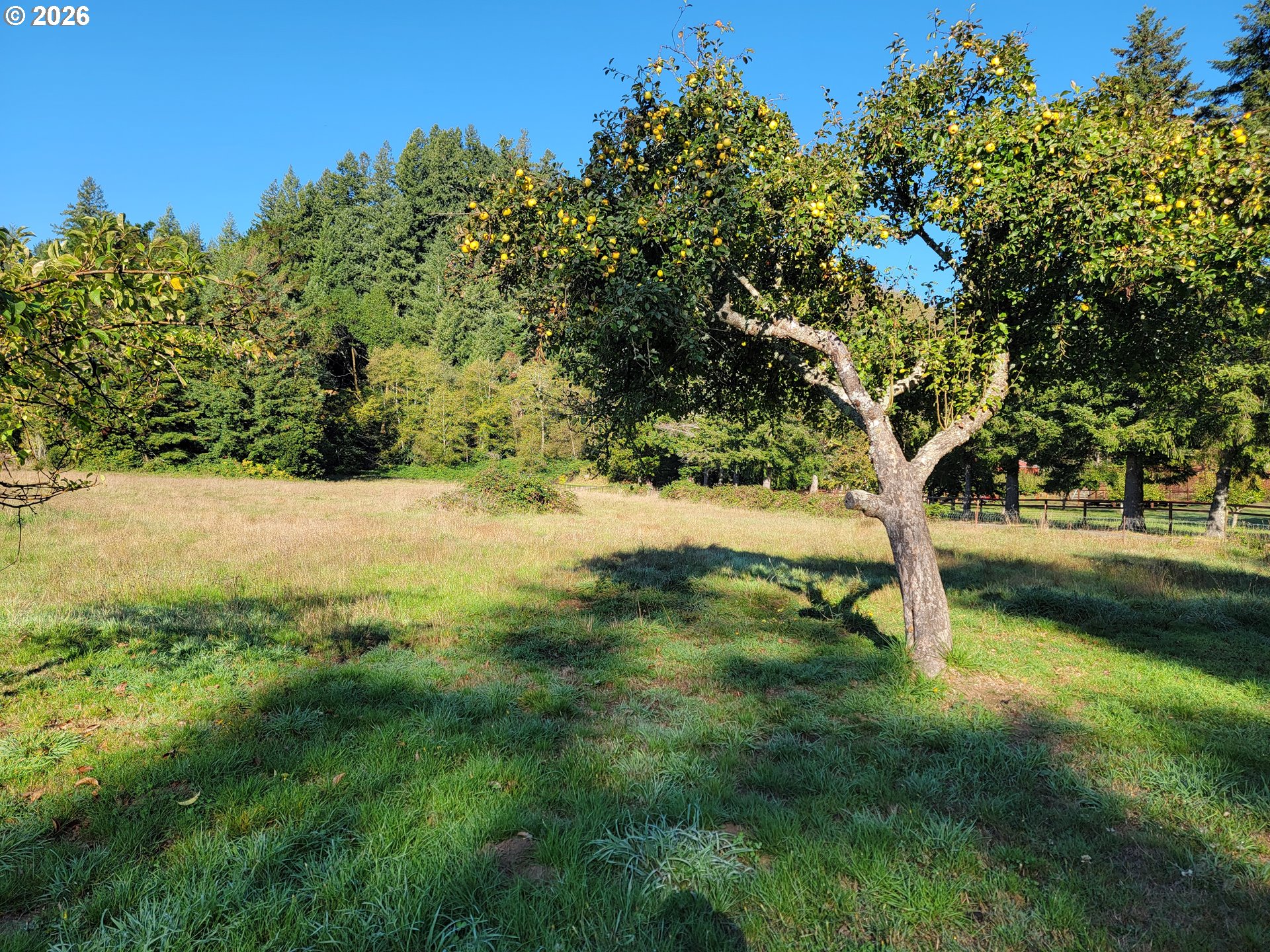 99616 Srs Rd Property Photo 2
