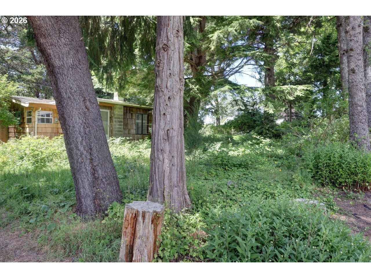 216 E Harrison St Property Photo 5
