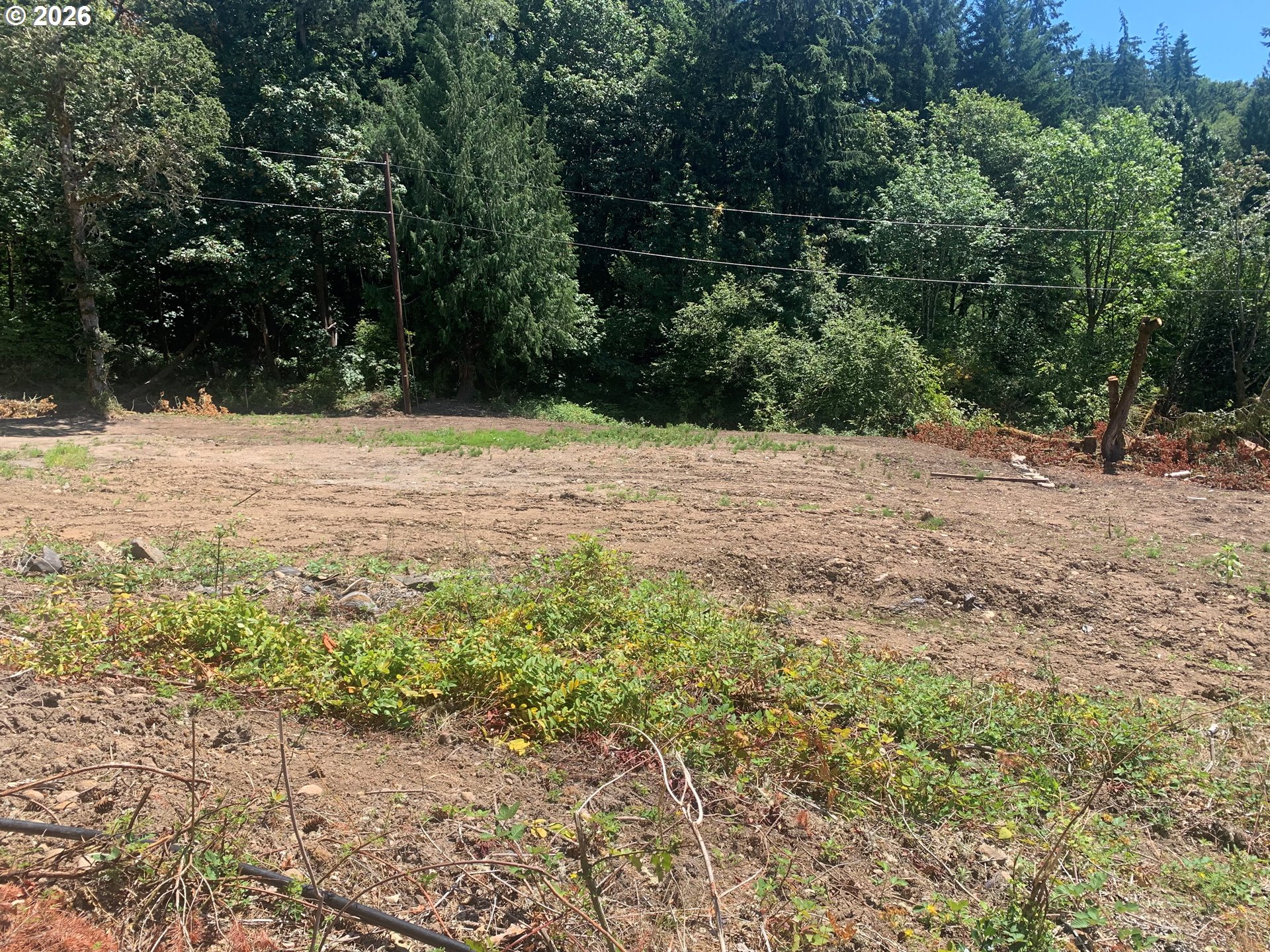 421 Wishman Dr Property Photo 8