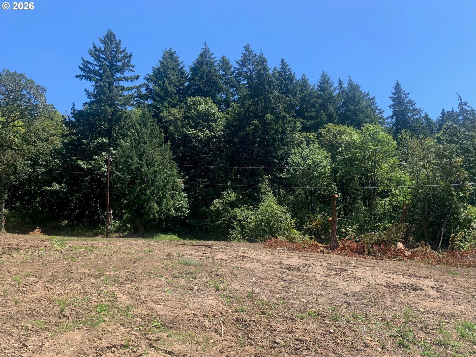 421 Wishman Dr Property Photo 13