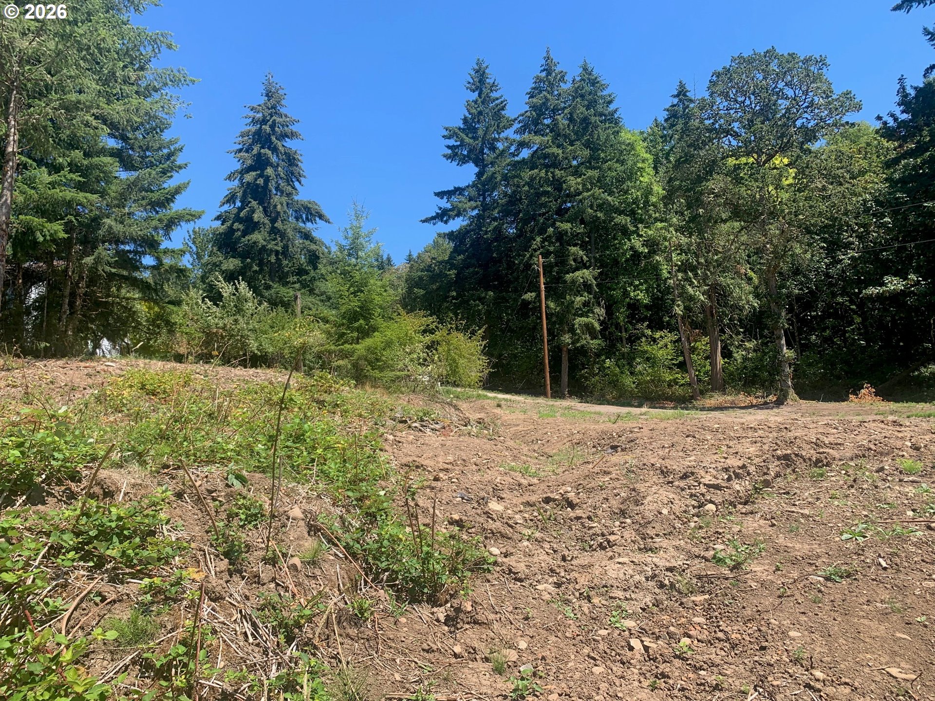 421 Wishman Dr Property Photo 14