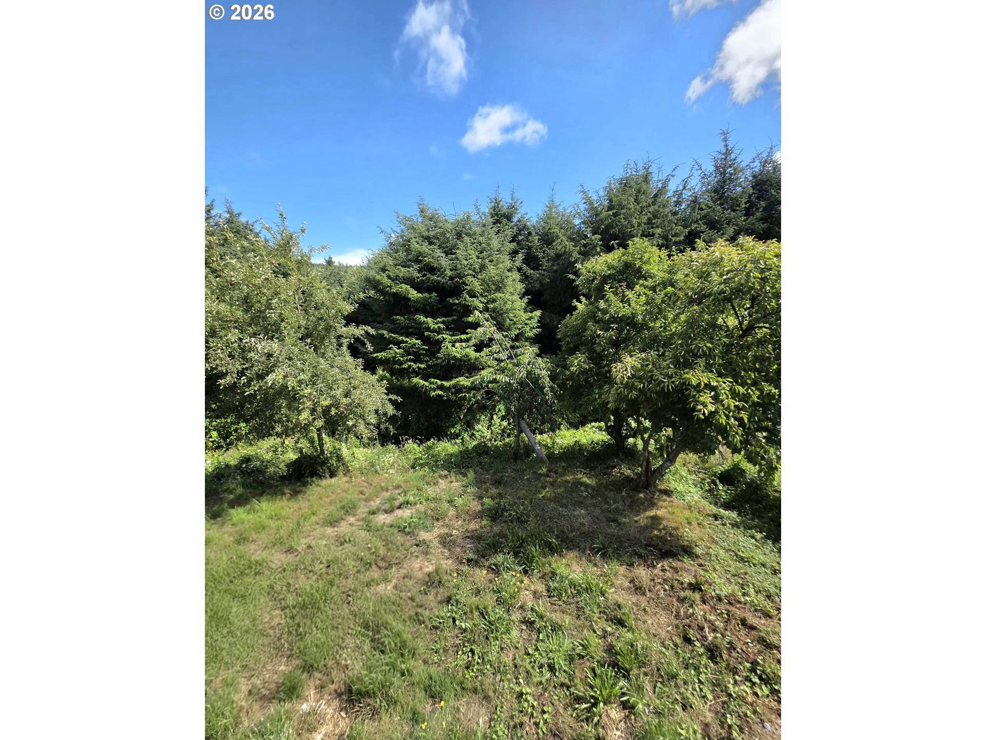 94136 Rink Creek Ln Property Photo 18