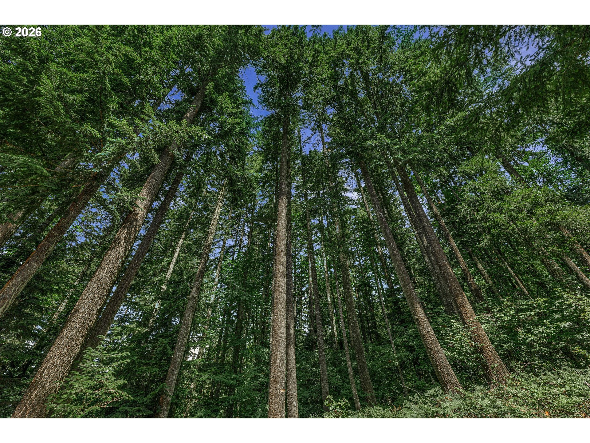 27410 E Salmon River Rd Property Photo 45