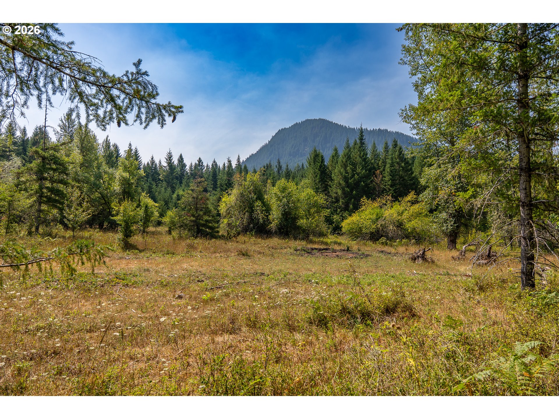 131 Hawk Meadows Rd Property Photo 1