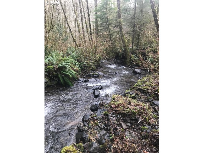 000 Alsea Hwy Property Photo 1
