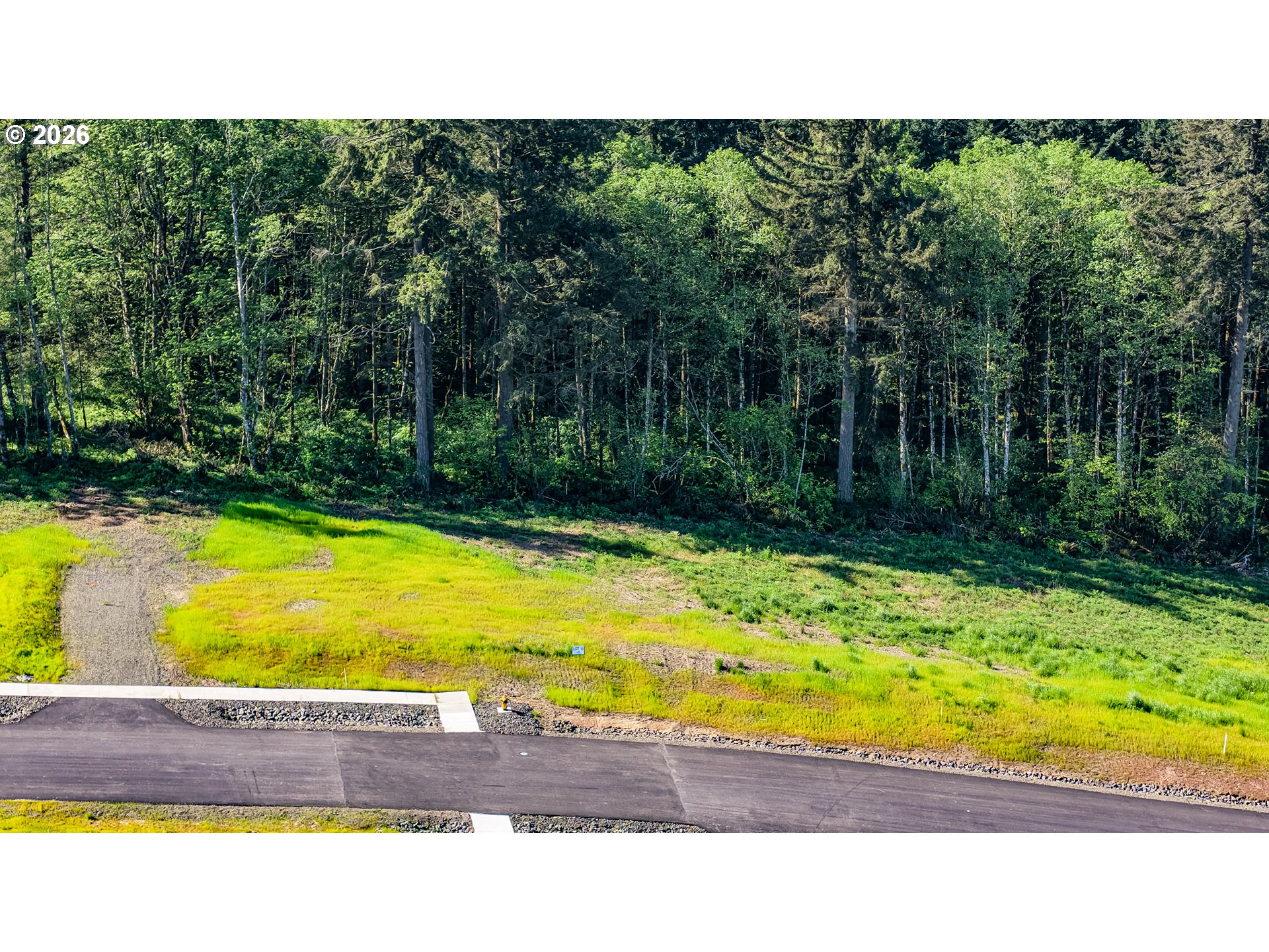0 Carmen Sylvia Dr Lot 16 Property Photo 3