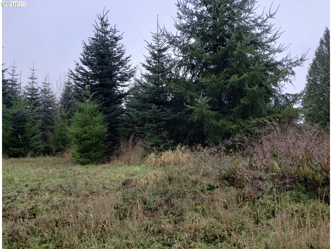 0000 Andy Thomas Rd Property Photo 3