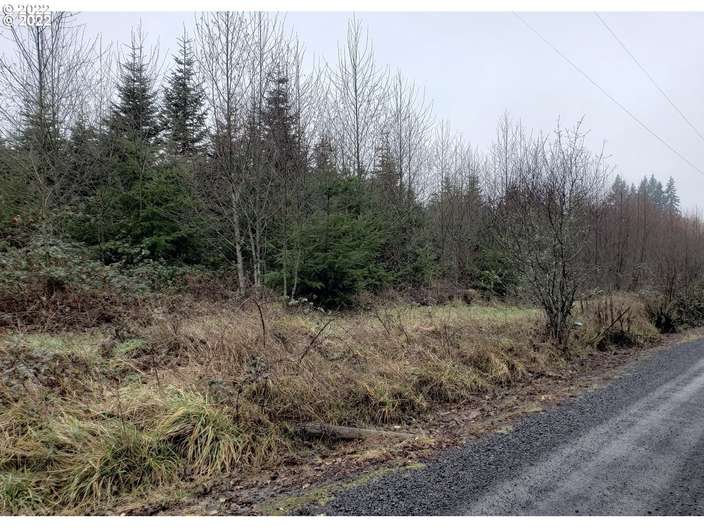 0000 Andy Thomas Rd Property Photo 4