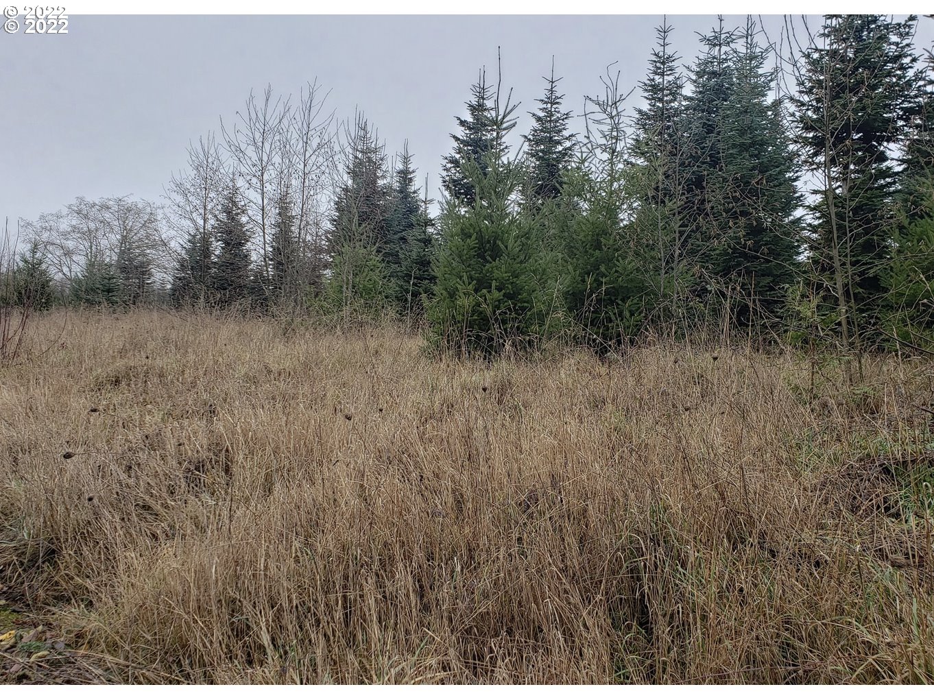 0000 Andy Thomas Rd Property Photo 5