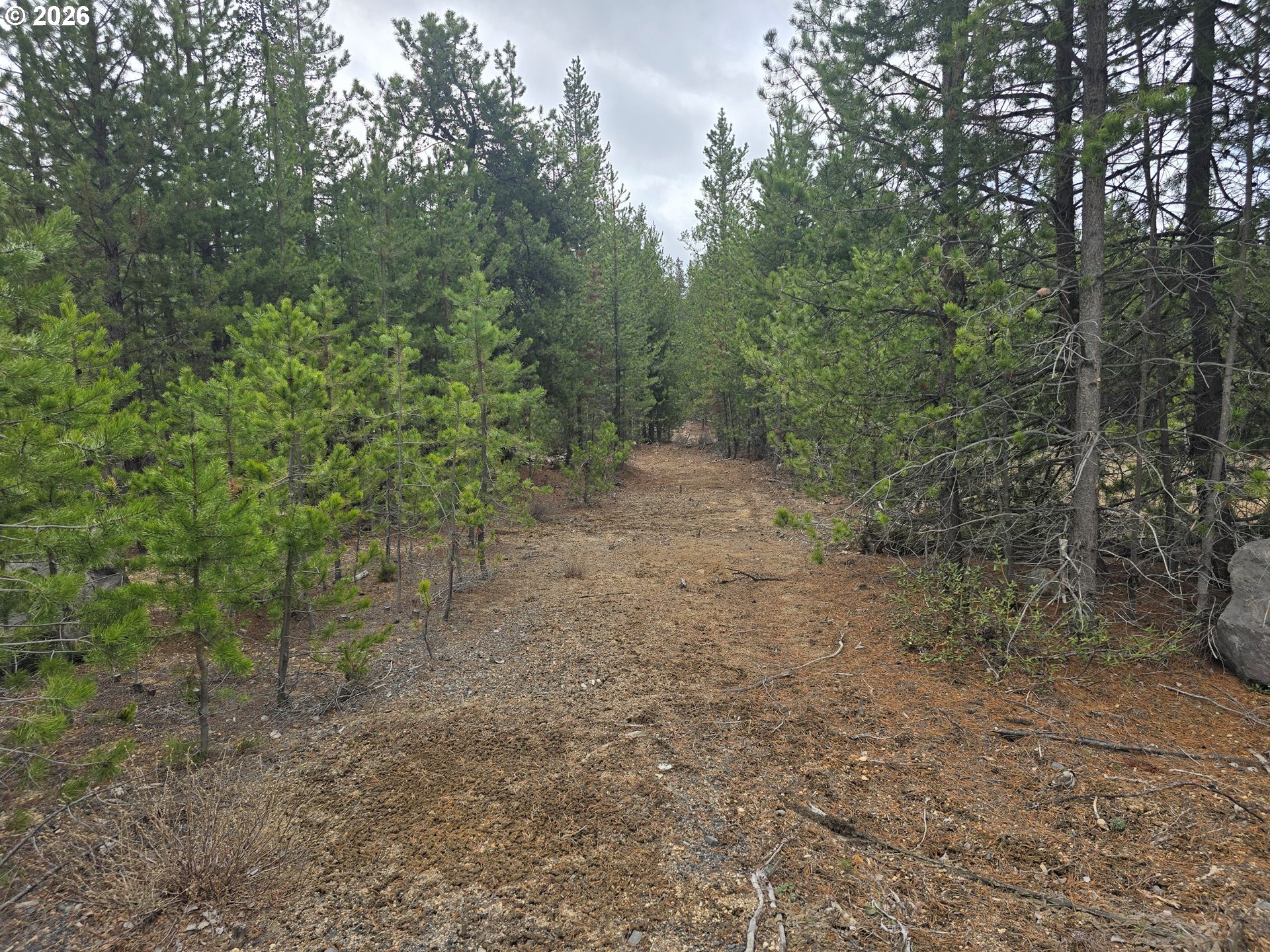59 Royce Mountain Way Property Photo 1