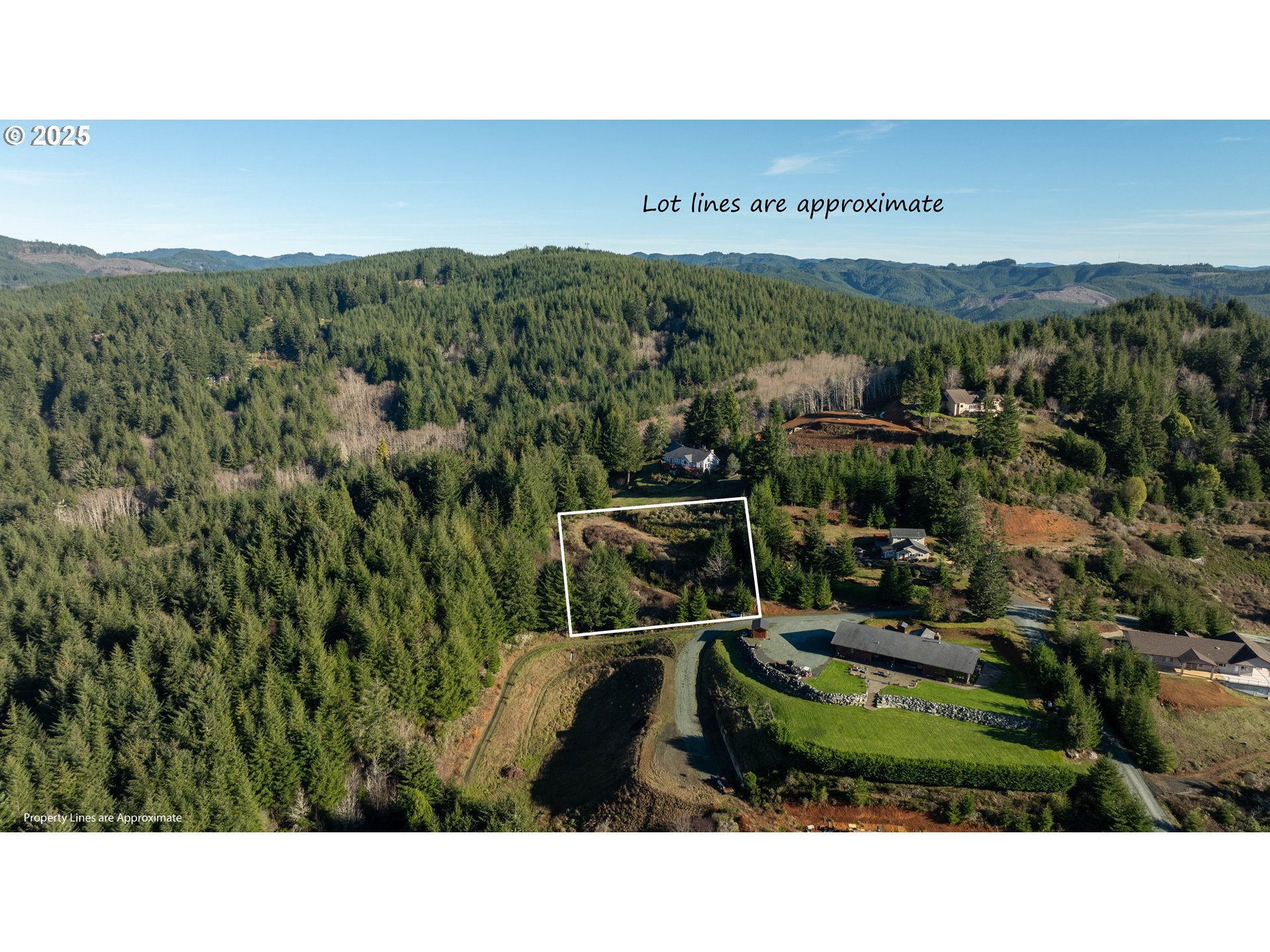 Vine Property Photo 3