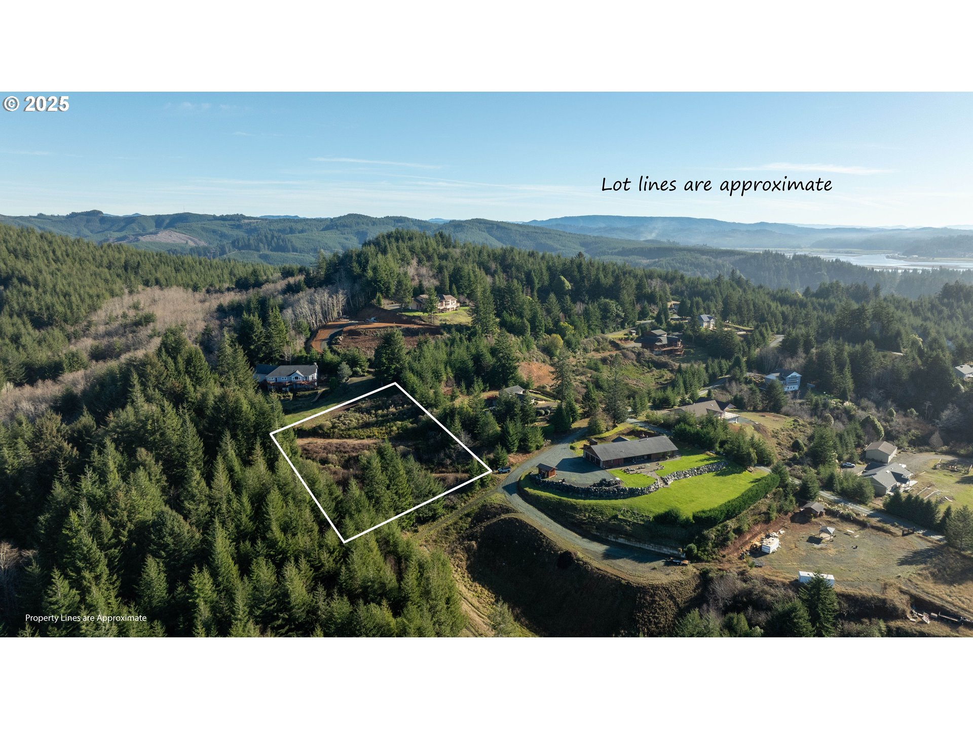 Vine Property Photo 4