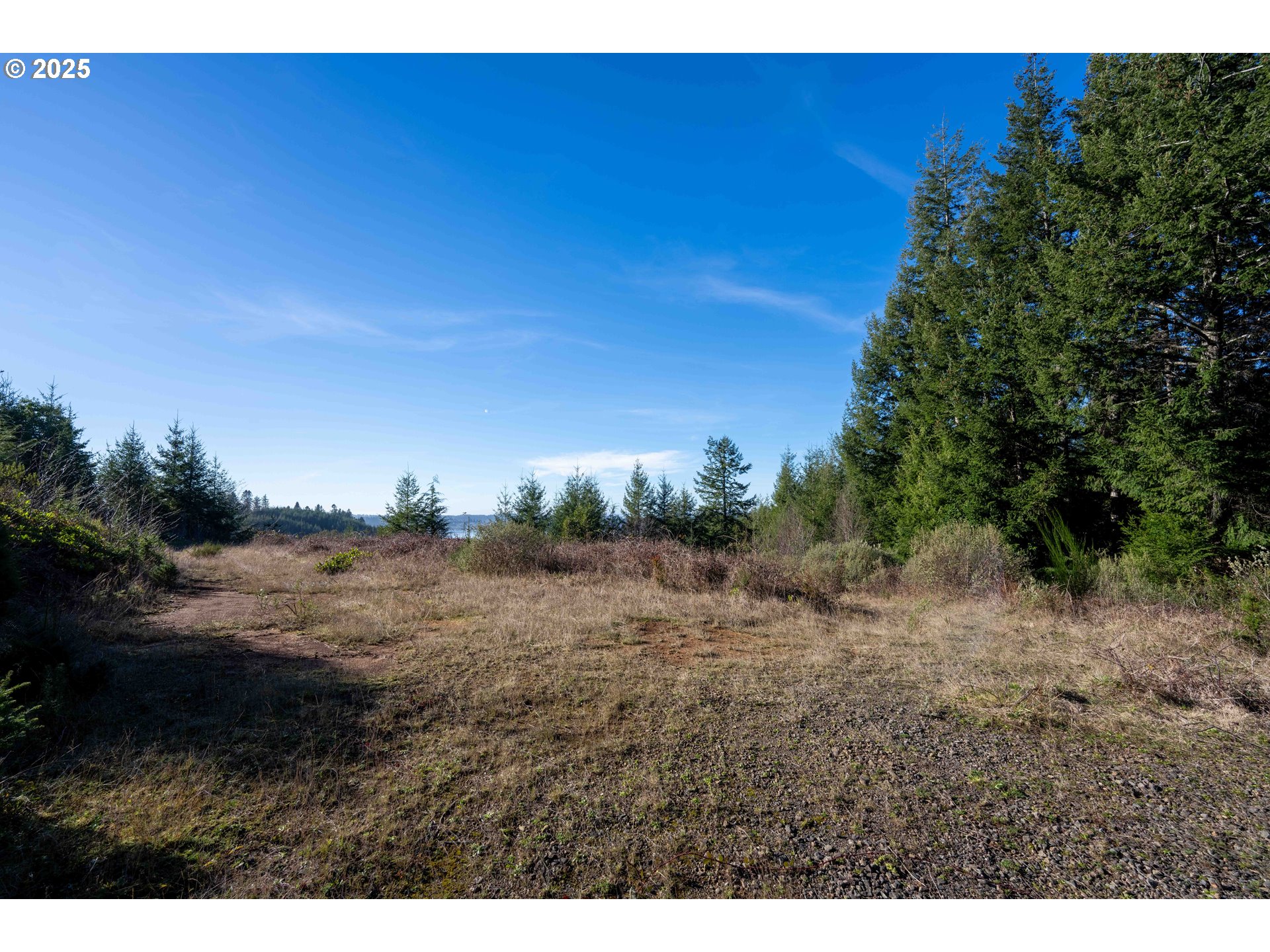Vine Property Photo 5