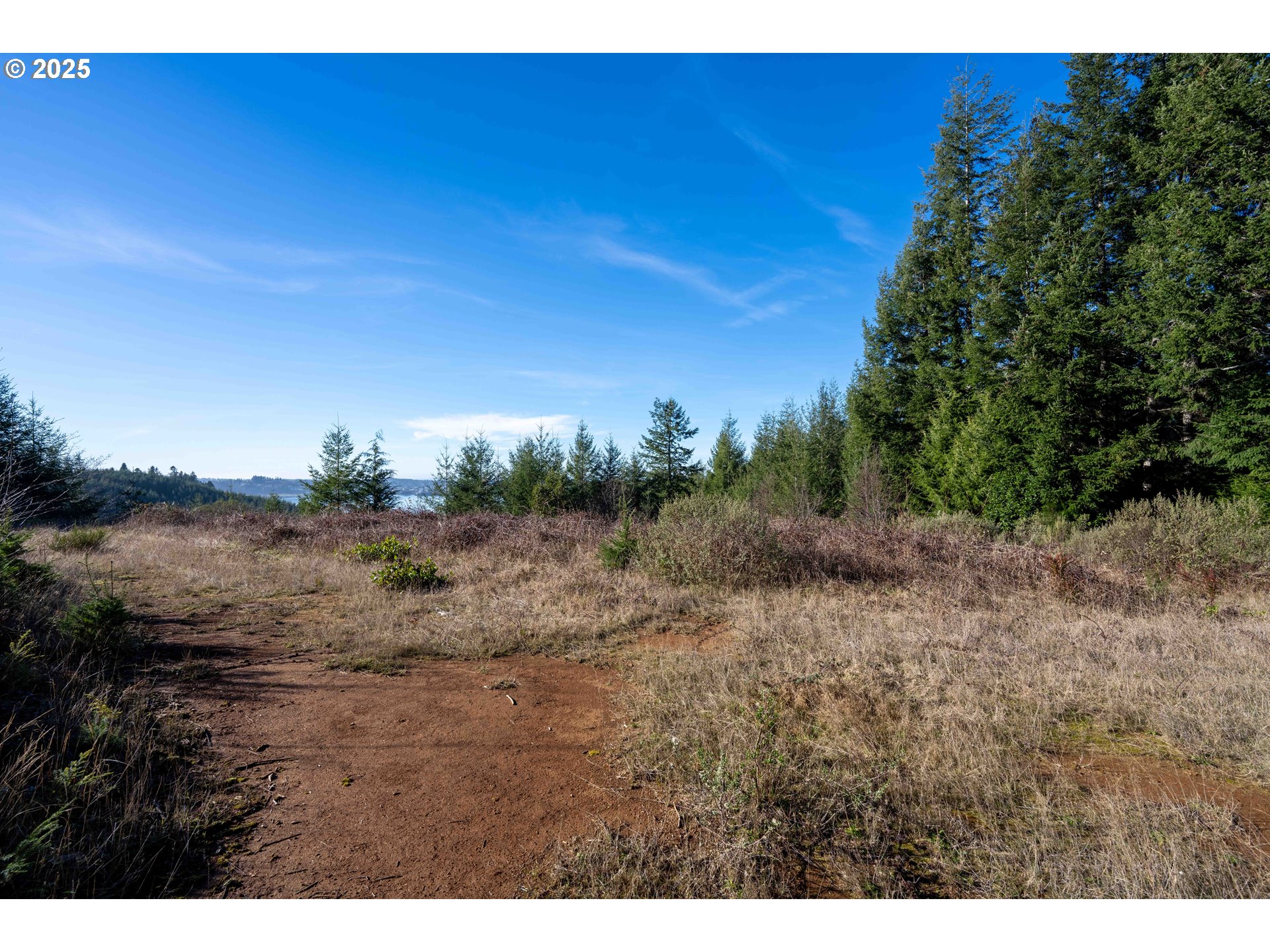 Vine Property Photo 6