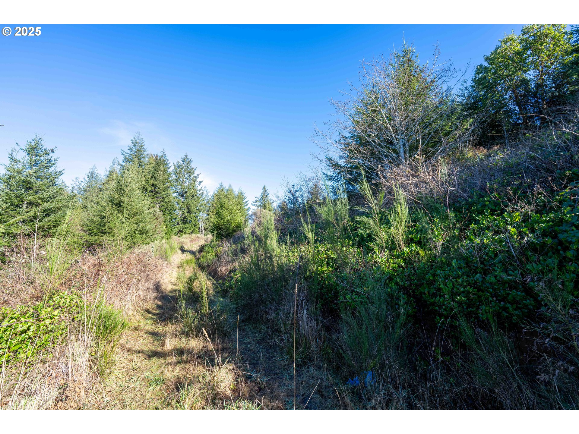 Vine Property Photo 7
