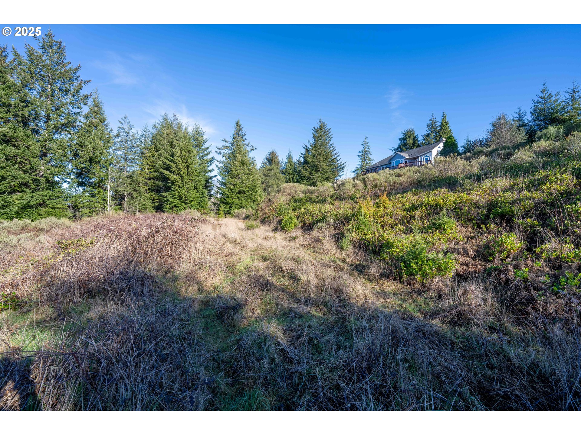 Vine Property Photo 9
