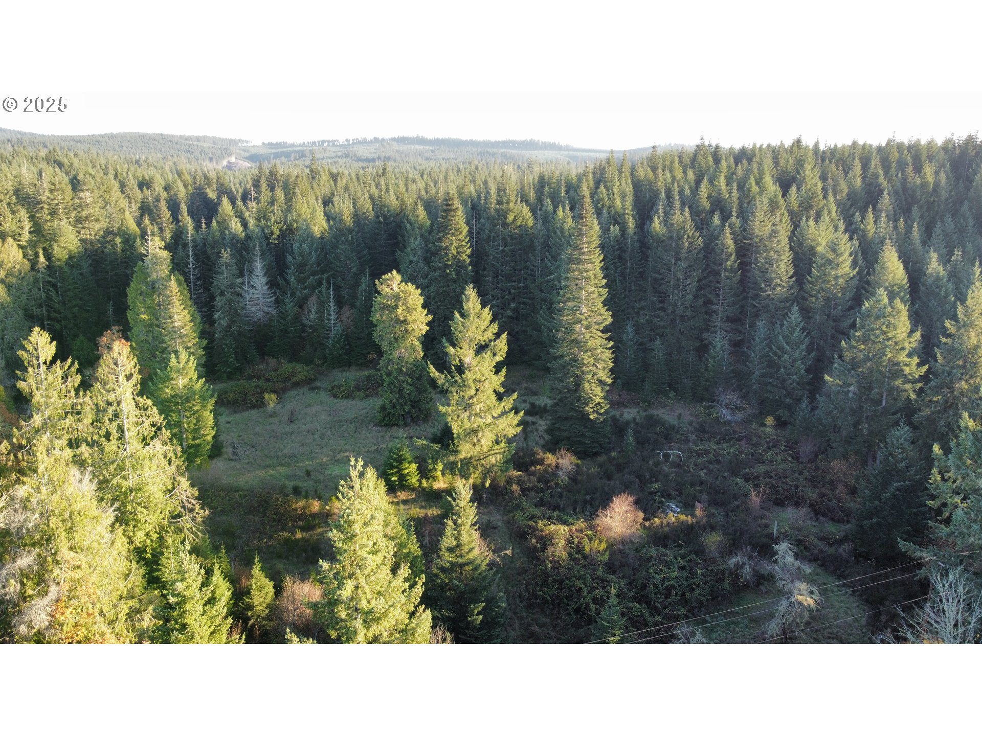 Hard Cash Ln Property Photo 1