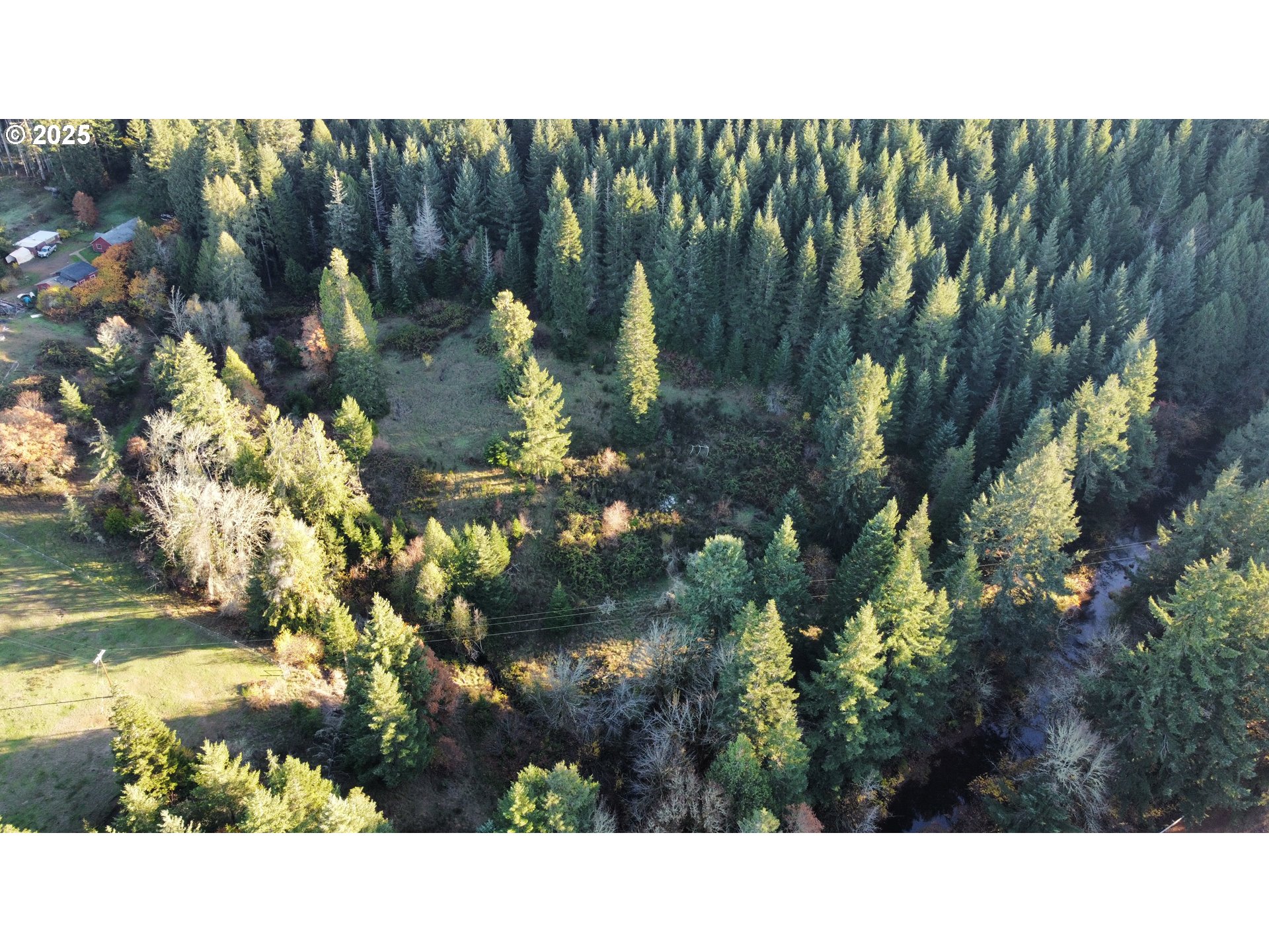 Hard Cash Ln Property Photo 2