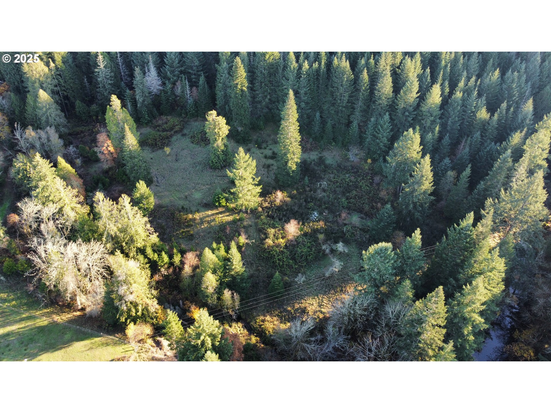 Hard Cash Ln Property Photo 3