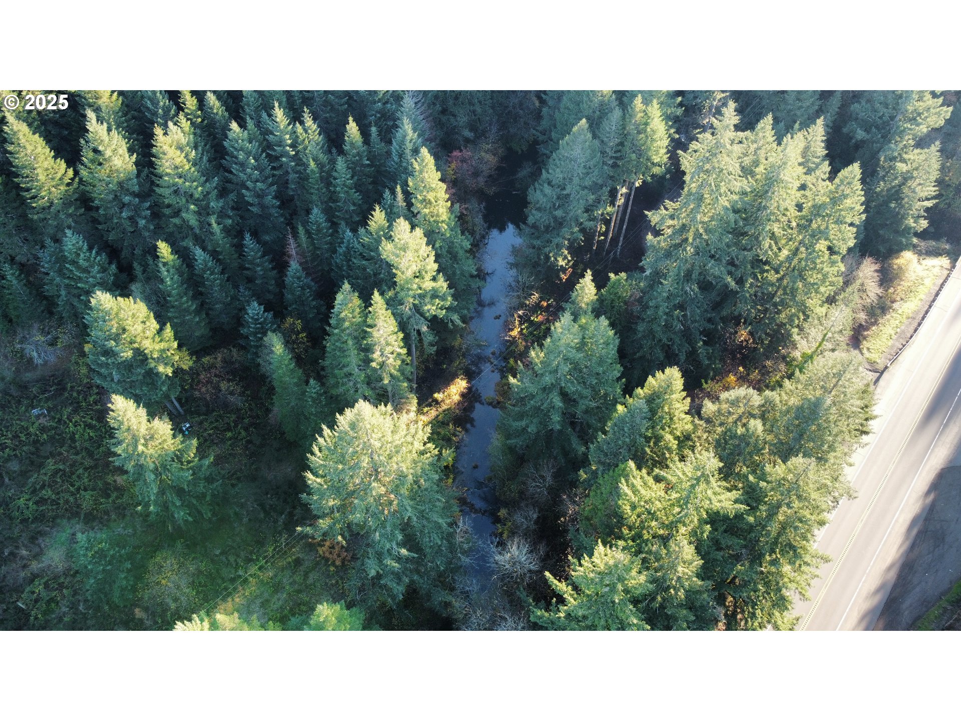 Hard Cash Ln Property Photo 5