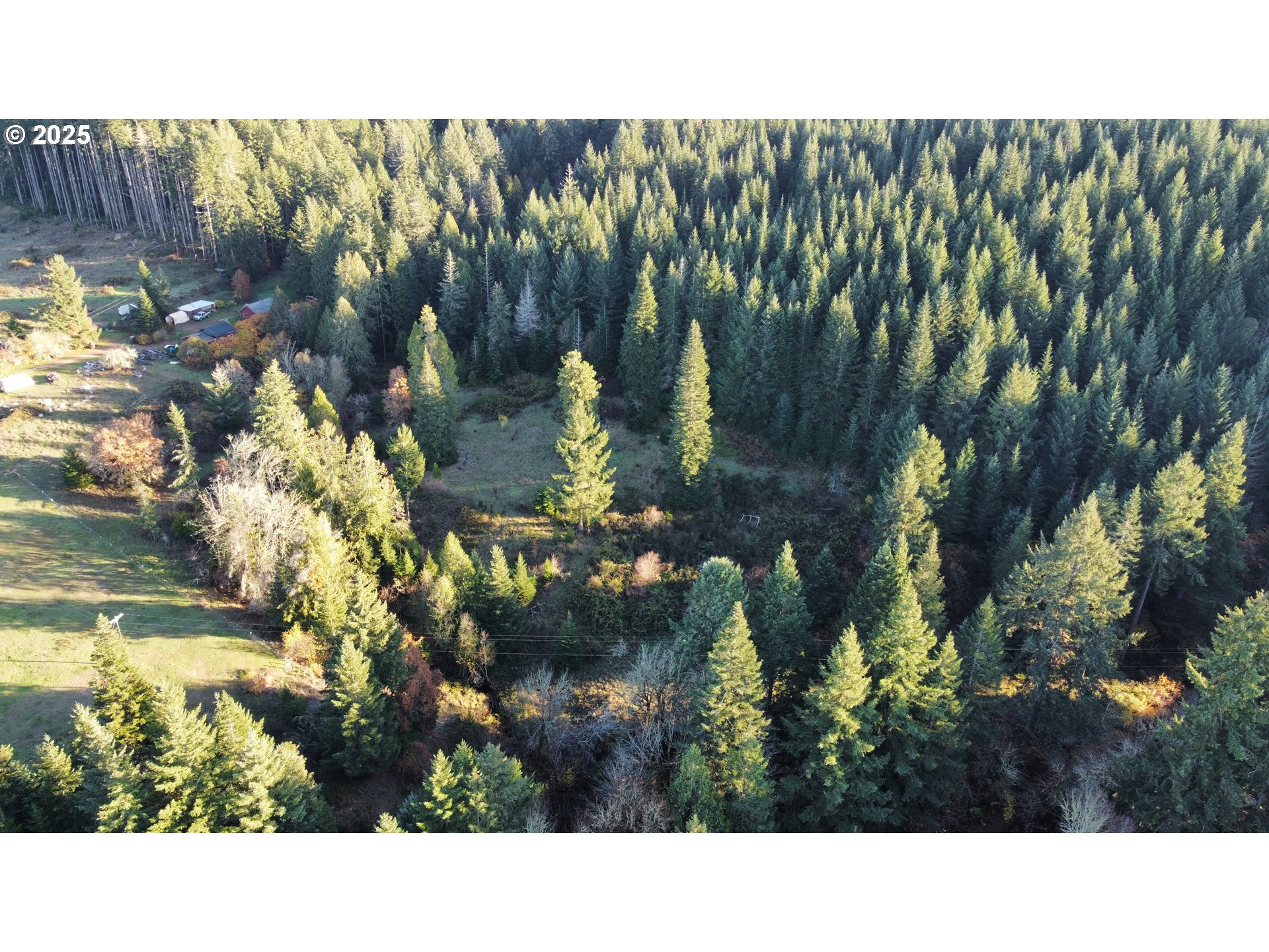Hard Cash Ln Property Photo 9