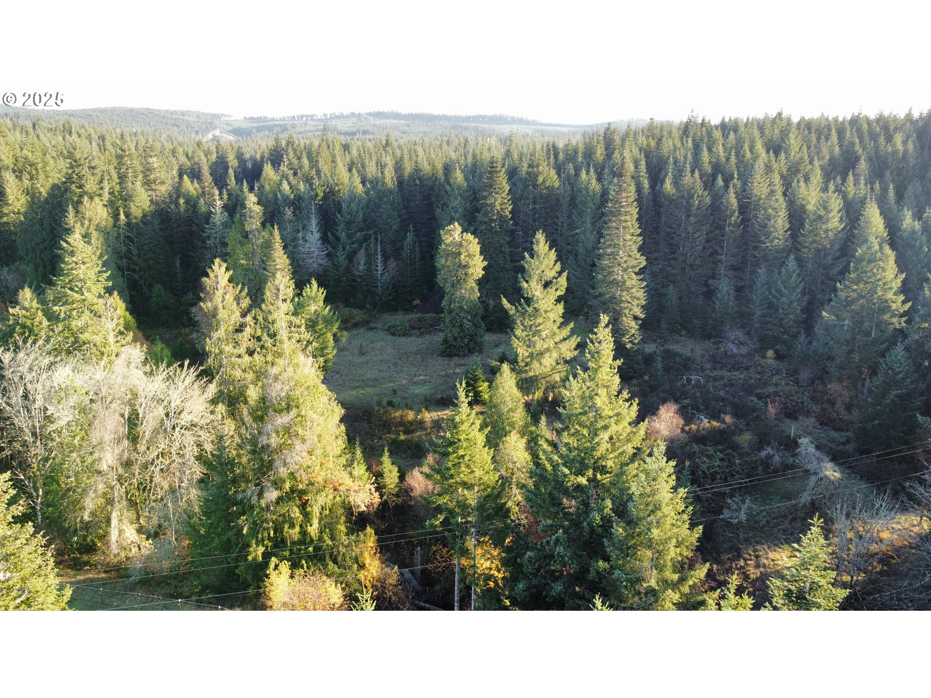 Hard Cash Ln Property Photo 11