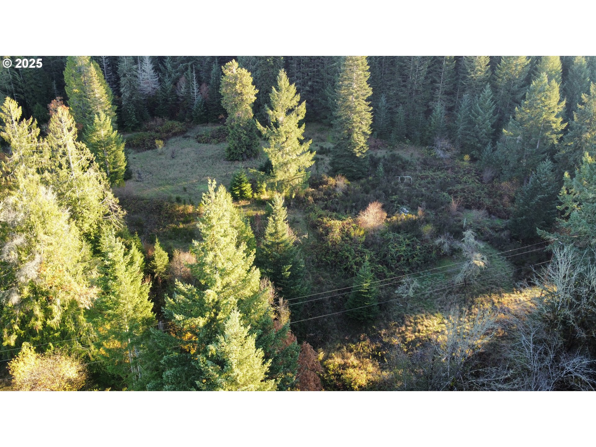 Hard Cash Ln Property Photo 12
